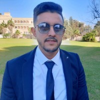 Walid BOULHAMMES