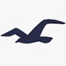 Hollister Meadowhall