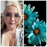 Bobbi Vanden Hoek