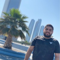 Ahmed Samy Aboushousha