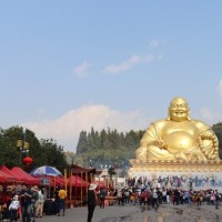 连厉菲