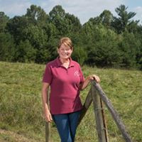 Cindy Hoback