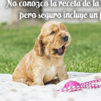 MARIBELA QUIROZ OLIVERA