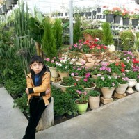 Alireza Pourazari