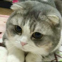 朱名扬