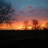 Sander Mets