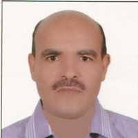 mohamed hindawi