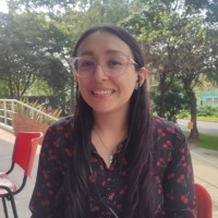 Diana Suarez Bohorquez