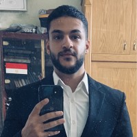 Amr Sayed Ali