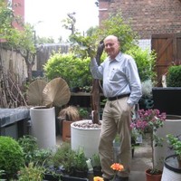 nicholas pine
