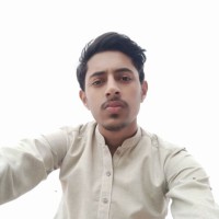 Muhammad Hamza Fiaz