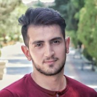 Hadi Mahmoudi