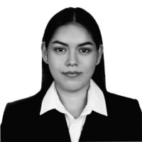 Briseida Castellanos Torres