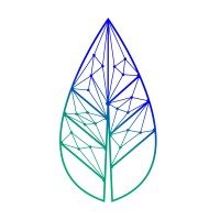 Vide Networks