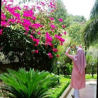 Randa Chehab
