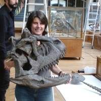 Cécile Colin-Fromont