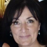 Sue Healy