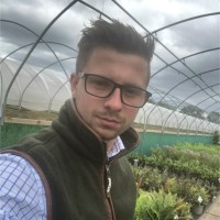 Dominic Marsh