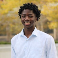 David Adebogun