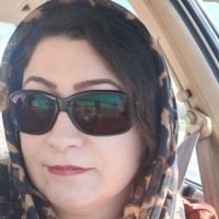 Fahimeh Mazro