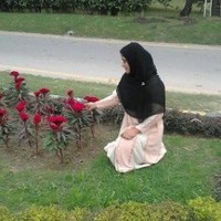 Ammara Umer