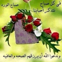 Haidar Latif