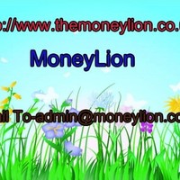 Money Lion