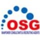 Top Consultancy Osgroup311