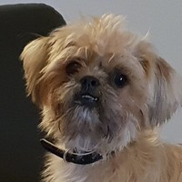 Eric Jespers