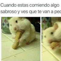 q a