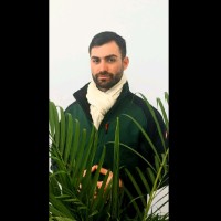 Tufan Yildiz