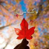 Aaish Anwer