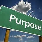 Sunita Non profit