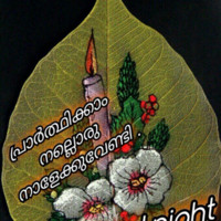 Vineesh Krishnanjanam