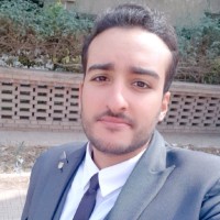 Mahmoud Amer