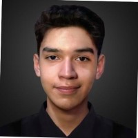 Luis Gerardo Carrillo Torres