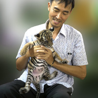 Lam Phan