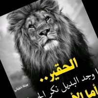 غريب الديار