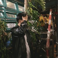 Nguyen Dang