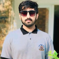 Muhammad Arif Ali
