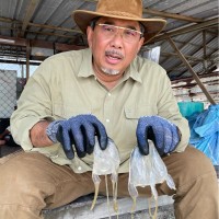Iekhsan Othman