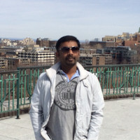 Parameswaran Navarathnam