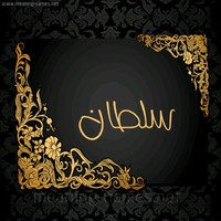 سلطان الالمعي