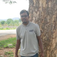 Vignesh T