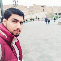 Alaa Alani
