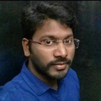 Chitti Pulugu
