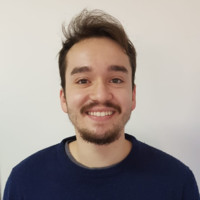 Pedro Henrique Barreto De Sampaio Alves