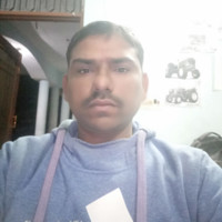 Harender Wapp
