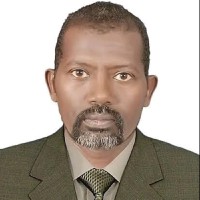 Adil A/Rahman Ali Ismail