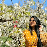 Jerin Anjum